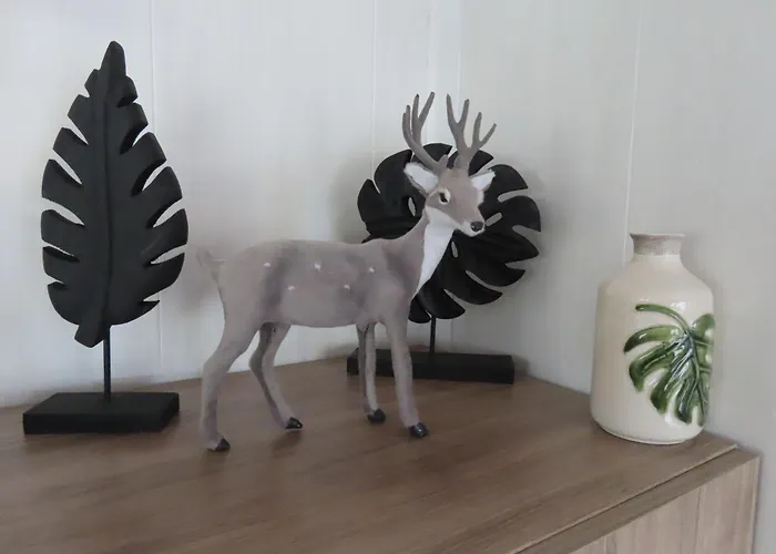 Veluwe Park Reewold Chalet Eclipse