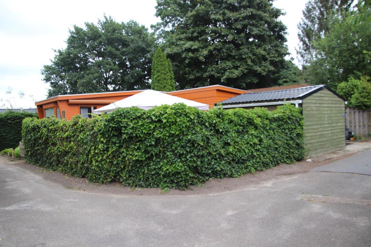 Veluwe Park Reewold Eclipse * Putten