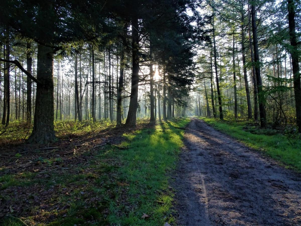 Veluwe Park Reewold Eclipse